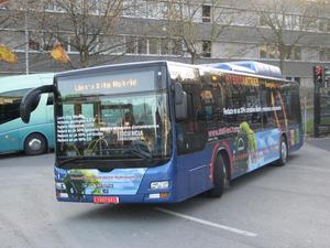 BUS_HIBRIDO