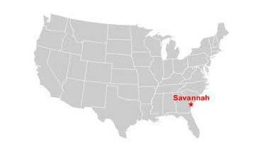 savannah